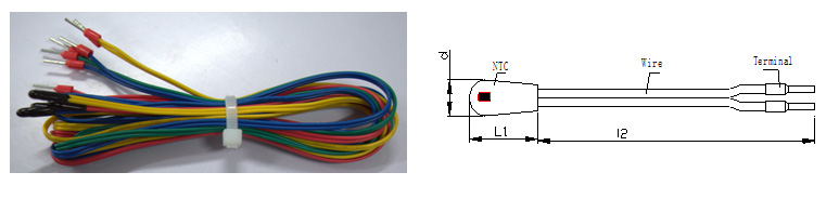 SG胜游(亚洲游)官方网站
